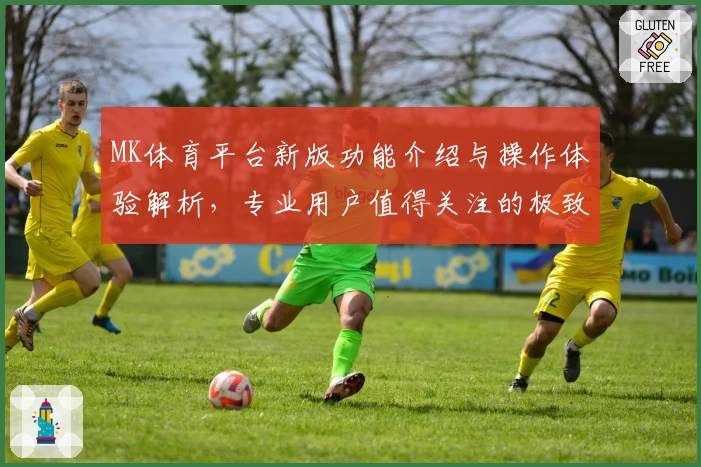 MK体育平台新版功能介绍与操作体验解析，专业用户值得关注的极致使用指南